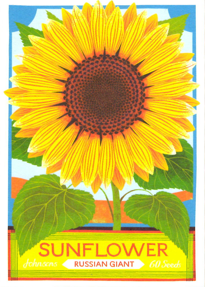 LITHO PRINT GREETING CARD Sunflower Flowers PRINTER JOHNSON