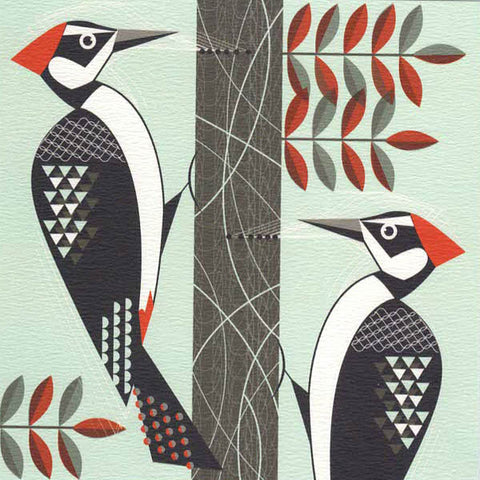 PAGAN FINE ART GREETING CARDS Woodpeckers FI POWERS