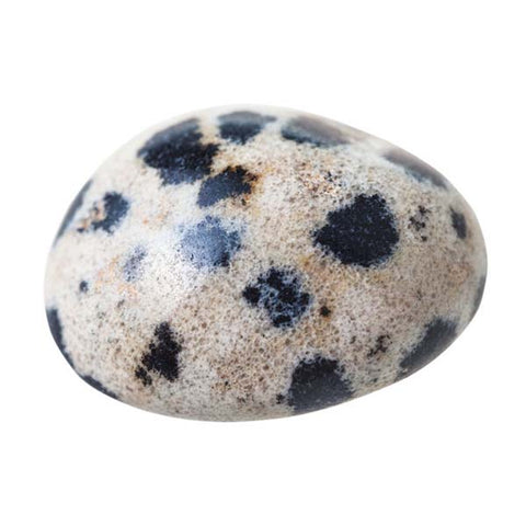 DALMATION JASPER Crystal Tumblestones