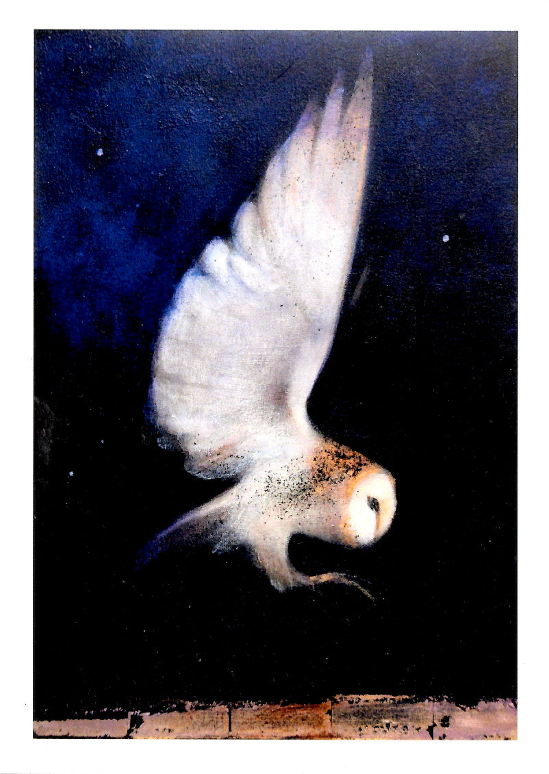 PAGAN WICCAN GREETING CARD Falling Through Starlight CATHERINE HYDE