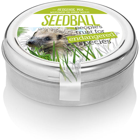 SEEDBALL WILDFLOWER SEED TINS Hedgehog Mix