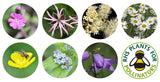SEEDBALL WILDFLOWER SEED TINS Shade Mix