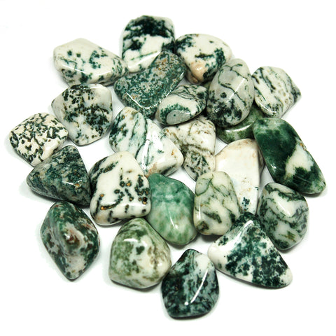 TREE AGATE Crystal Tumblestones